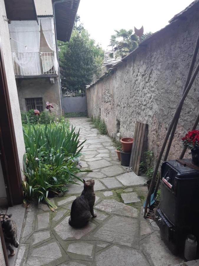La Marmotta Ξενοδοχείο Luserna San Giovanni Εξωτερικό φωτογραφία