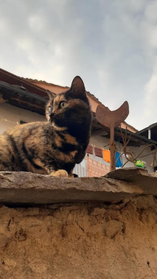 La Marmotta Ξενοδοχείο Luserna San Giovanni Εξωτερικό φωτογραφία