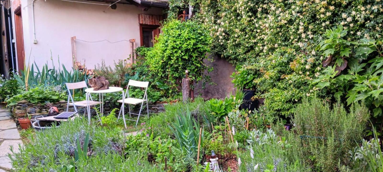 La Marmotta Ξενοδοχείο Luserna San Giovanni Εξωτερικό φωτογραφία